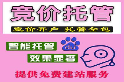 专业SEM账户托管成功案例分享